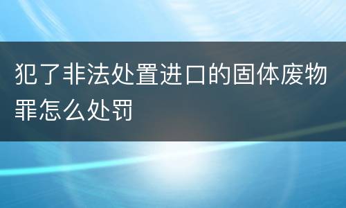 犯了非法处置进口的固体废物罪怎么处罚