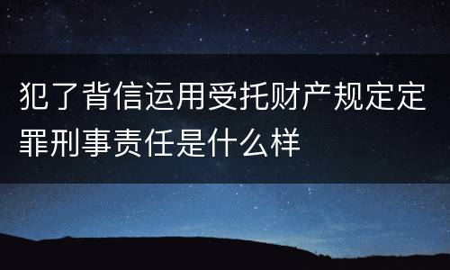 犯了背信运用受托财产规定定罪刑事责任是什么样