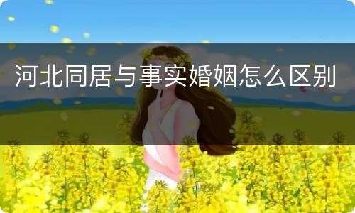 河北同居与事实婚姻怎么区别