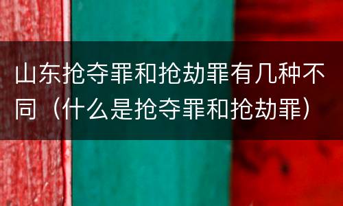 山东抢夺罪和抢劫罪有几种不同（什么是抢夺罪和抢劫罪）