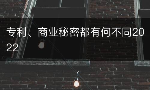 专利、商业秘密都有何不同2022