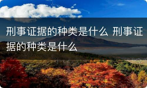 刑事证据的种类是什么 刑事证据的种类是什么