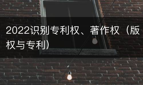 2022识别专利权、著作权（版权与专利）
