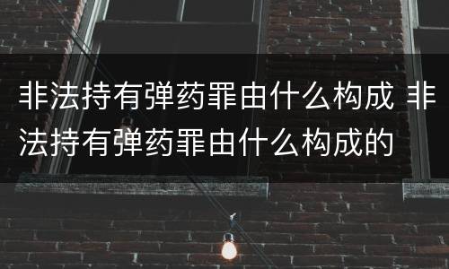 非法持有弹药罪由什么构成 非法持有弹药罪由什么构成的