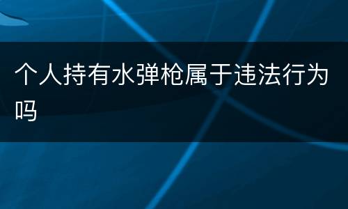个人持有水弹枪属于违法行为吗