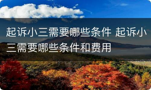起诉小三需要哪些条件 起诉小三需要哪些条件和费用