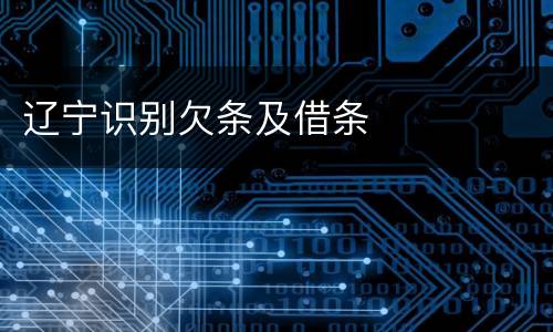 辽宁识别欠条及借条