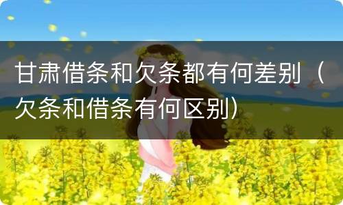 甘肃借条和欠条都有何差别（欠条和借条有何区别）
