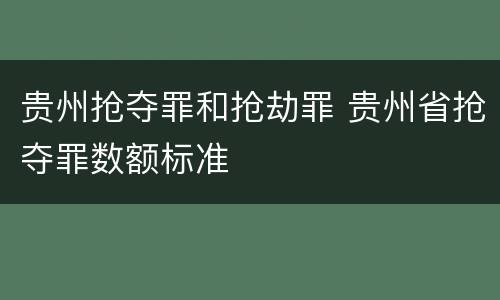 贵州抢夺罪和抢劫罪 贵州省抢夺罪数额标准