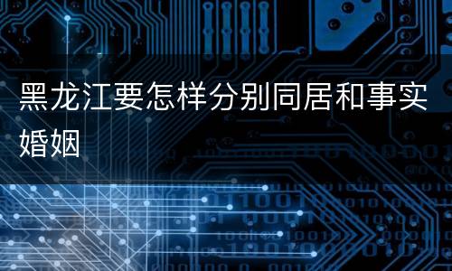 黑龙江要怎样分别同居和事实婚姻