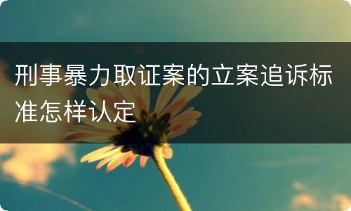 刑事暴力取证案的立案追诉标准怎样认定