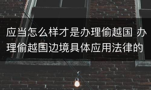 应当怎么样才是办理偷越国 办理偷越国边境具体应用法律的解释