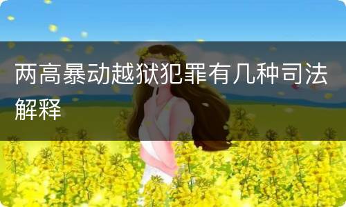 两高暴动越狱犯罪有几种司法解释