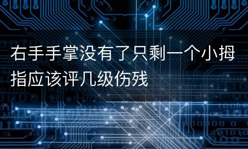 右手手掌没有了只剩一个小拇指应该评几级伤残