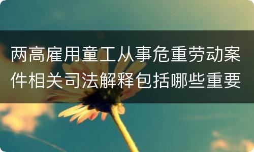两高雇用童工从事危重劳动案件相关司法解释包括哪些重要内容