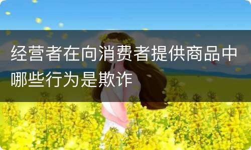 经营者在向消费者提供商品中哪些行为是欺诈