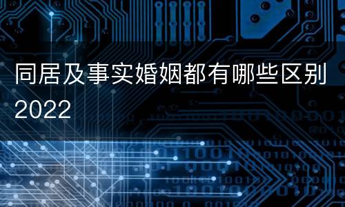同居及事实婚姻都有哪些区别2022