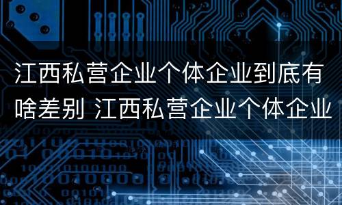 江西私营企业个体企业到底有啥差别 江西私营企业个体企业到底有啥差别呢