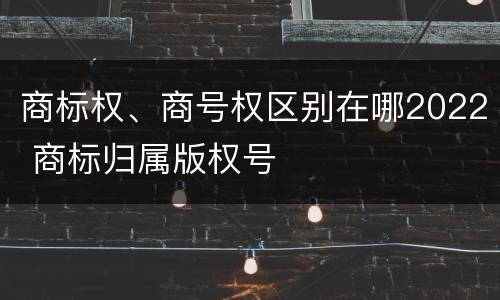 商标权、商号权区别在哪2022 商标归属版权号