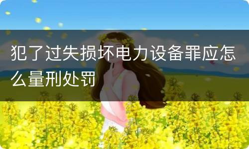 犯了过失损坏电力设备罪应怎么量刑处罚
