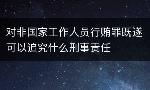对非国家工作人员行贿罪既遂可以追究什么刑事责任