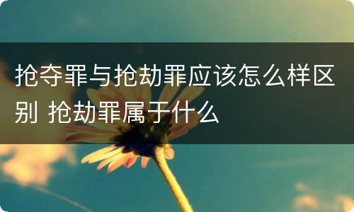 抢夺罪与抢劫罪应该怎么样区别 抢劫罪属于什么