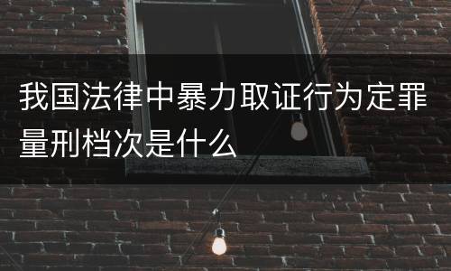 我国法律中暴力取证行为定罪量刑档次是什么