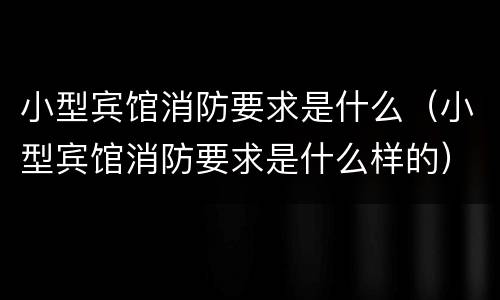 小型宾馆消防要求是什么（小型宾馆消防要求是什么样的）