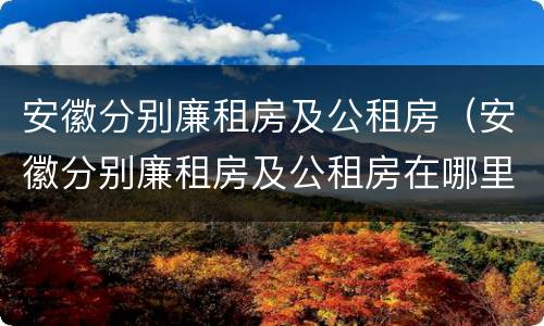 安徽分别廉租房及公租房（安徽分别廉租房及公租房在哪里）