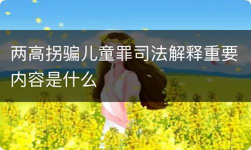 两高拐骗儿童罪司法解释重要内容是什么