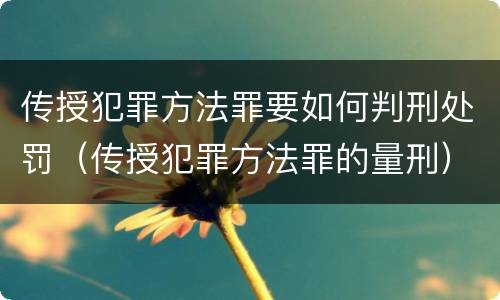 传授犯罪方法罪要如何判刑处罚（传授犯罪方法罪的量刑）