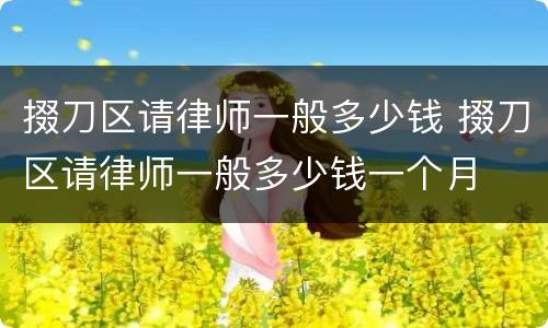 掇刀区请律师一般多少钱 掇刀区请律师一般多少钱一个月