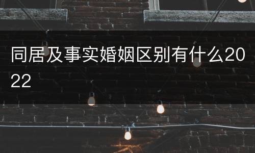 同居及事实婚姻区别有什么2022