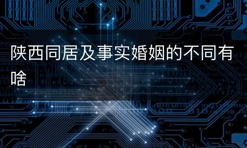 陕西同居及事实婚姻的不同有啥