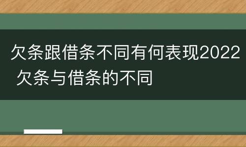 欠条跟借条不同有何表现2022 欠条与借条的不同