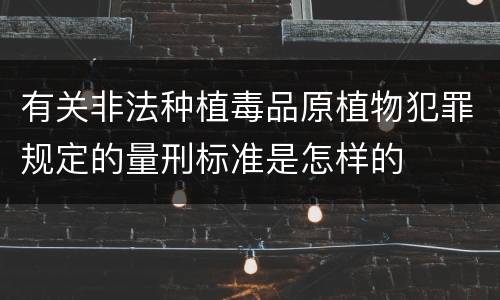 有关非法种植毒品原植物犯罪规定的量刑标准是怎样的
