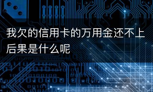 我欠的信用卡的万用金还不上后果是什么呢