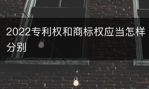 2022专利权和商标权应当怎样分别
