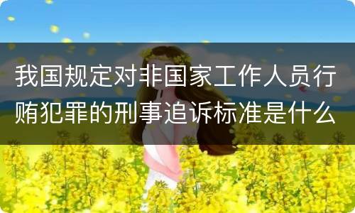 我国规定对非国家工作人员行贿犯罪的刑事追诉标准是什么