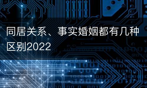 同居关系、事实婚姻都有几种区别2022