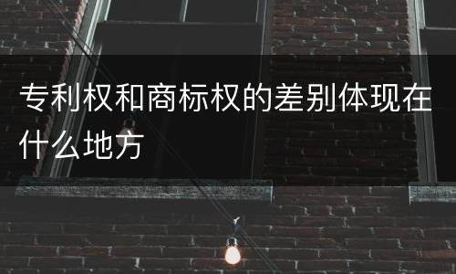 专利权和商标权的差别体现在什么地方