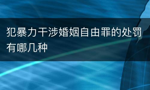 犯暴力干涉婚姻自由罪的处罚有哪几种