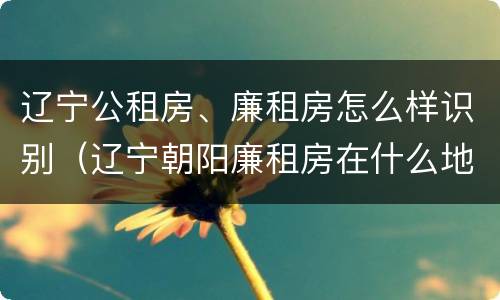 辽宁公租房、廉租房怎么样识别（辽宁朝阳廉租房在什么地方）