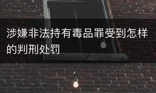 涉嫌非法持有毒品罪受到怎样的判刑处罚