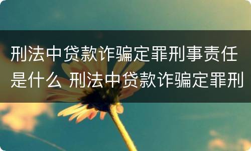刑法中贷款诈骗定罪刑事责任是什么 刑法中贷款诈骗定罪刑事责任是什么意思