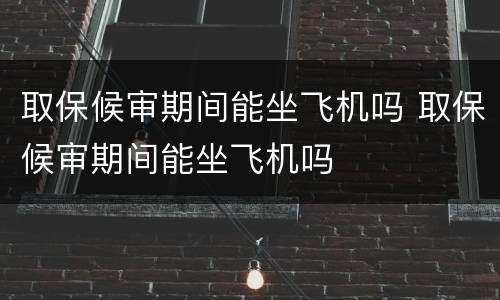 取保候审期间能坐飞机吗 取保候审期间能坐飞机吗
