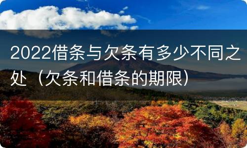 2022借条与欠条有多少不同之处（欠条和借条的期限）