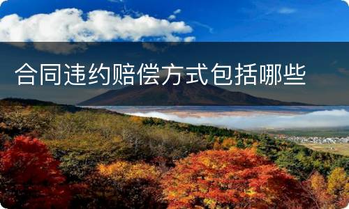 合同违约赔偿方式包括哪些