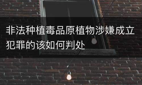 非法种植毒品原植物涉嫌成立犯罪的该如何判处