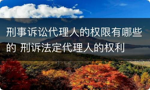 刑事诉讼代理人的权限有哪些的 刑诉法定代理人的权利
